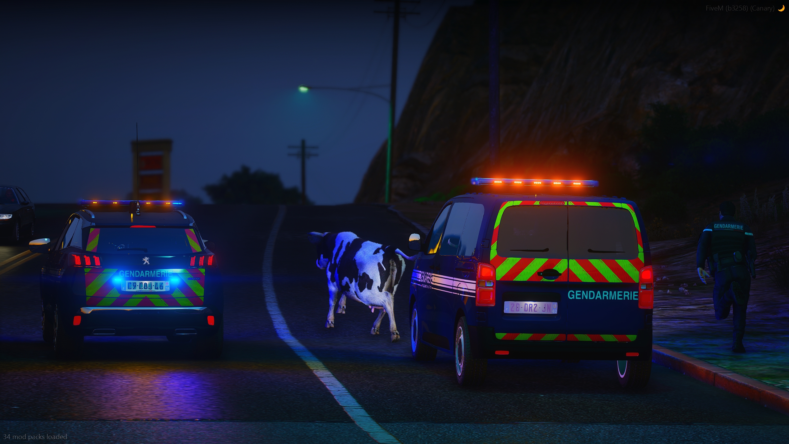 Divagation d'animaux par la Gendarmerie du Pas-De-Calais